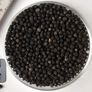 Bridal Creeper, Asparagus Fern Seed - Packet thumbnail number null
